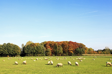 Der Niederrhein: Herbsttraum