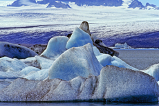 Island: Eine Bildreise Gletscherlagune Jökulsárlón
