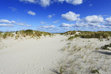 Juist-Töwerland: Die Juister Dünen sind der natürliche Küstenschutz der Insel.