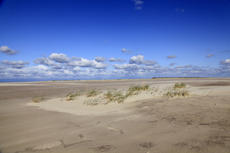Juist-Töwerland: Die Schutzzone Billriff, eine niedrige Sandbank am westlichen Ende der Insel.