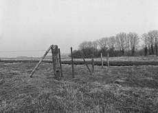 Nierslandschaften 1984: Pappelreihen und Kopfweiden prägen das Landschaftsbild an der Niers.