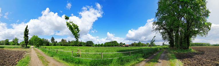Der Niederrhein: Frühling – Panoramablick 180 Grad. Weide- und Mähwiese bei Wachtendonk. Panoramagröße: 199x60 cm / 300dpi