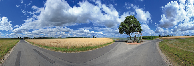 Der Niederrhein: Sommer – Panoramablick 180 Grad. Typische niederrheinische Agrarlandschaft. Panoramagröße: 111x37 cm / 300dpi