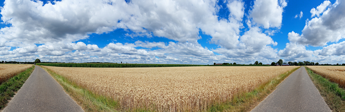 Der Niederrhein:Sommer – Panoramablick 180 Grad. Typische niederrheinische Agrarlandschaft. Panoramagröße: 136x44 cm / 300dpi