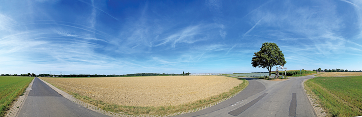 Der Niederrhein: Sommer – Panoramablick 180 Grad. Typische niederrheinische Agrarlandschaft. Panoramagröße: 140x45 cm / 300dpi