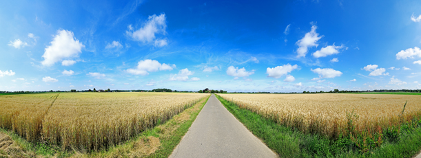 Der Niederrhein: Sommer – Panoramablick 180 Grad. Typische niederrheinische Agrarlandschaft. Panoramagröße: 138x52 cm / 300dpi