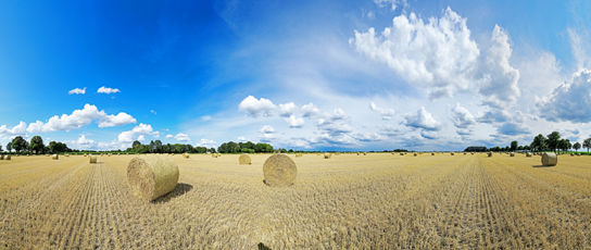 Der Niederrhein: Sommer – Panoramablick 180 Grad. Strohballen nach der Getreideernte. Panoramagröße: 136x57 cm / 300dpi