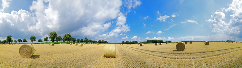 Der Niederrhein: Sommer – Panoramablick 180 Grad. Strohballen nach der Getreideernte. Panoramagröße: 206x58 cm / 300dpi