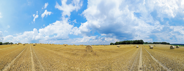 Der Niederrhein: Sommer – Panoramablick 180 Grad. Strohballen nach der Getreideernte. Panoramagröße: 143x55 cm / 300dpi