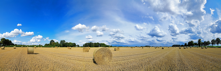 Der Niederrhein: Sommer – Panoramablick 180 Grad. Strohballen nach der Getreideernte. Panoramagröße: 174x56 cm / 300dpi