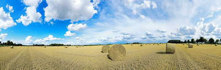Der Niederrhein:Sommer – Panoramablick 180 Grad. Strohballen nach der Getreideernte. Panoramagröße: 177x56 cm / 300dpi