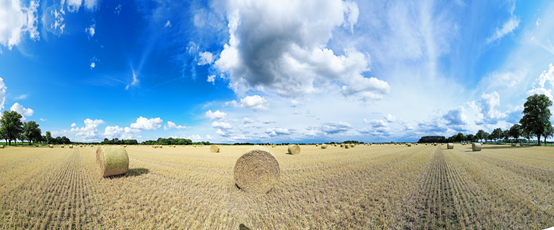 Der Niederrhein: Sommer – Panoramablick 180 Grad. Strohballen nach der Getreideernte. Panoramagröße: 133x55 cm / 300dpi
