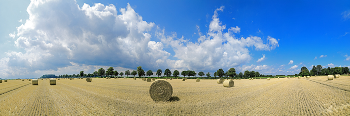 Der Niederrhein:Sommer – Panoramablick 180 Grad. Strohballen nach der Getreideernte. Panoramagröße: 171x57 cm / 300dpi