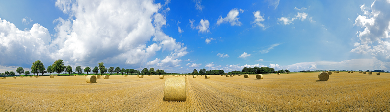Der Niederrhein: Sommer – Panoramablick 180 Grad. Strohballen nach der Getreideernte. Panoramagröße: 199x57 cm / 300dpi
