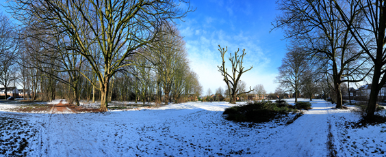 Der Niederrhein: Winter – Panoramablick 180 Grad. East Cambridgeshire Park in Kempen. Panoramagröße: 124x50 cm / 300dpi