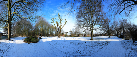 Der Niederrhein: Winter – Panoramablick 180 Grad. East Cambridgeshire Park in Kempen. Panoramagröße: 120x50 cm / 300dpi