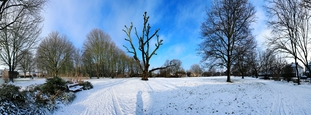 Der Niederrhein: Winter – Panoramablick 180 Grad. East Cambridgeshire Park in Kempen. Panoramagröße: 143x52 cm / 300dpi