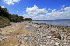 Timmendorfer Strand: Brodtener Steilufer. Manche Steine sind Tausende Jahre alt und wurden während der Eiszeit aus Skandinavien in die südliche Ostsee getragen