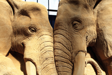Sandskulpturen Travemünde 2022<br />Reise um die Welt<br />Tiere Afrikas - © Bagrat Stepanyan und Pavel Solovov (Afrika)
