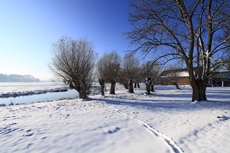 Der Niederrhein: Winterzauber