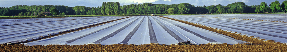 Frühling am Niederrhein