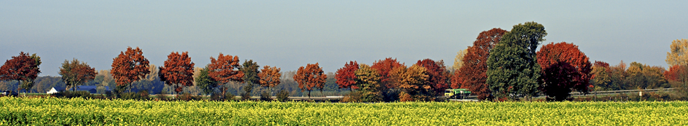 Herbstlandschaften