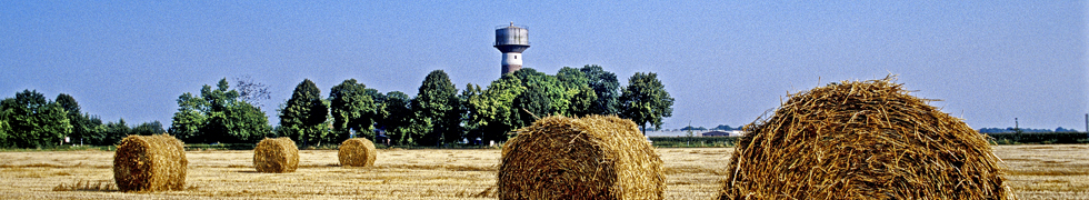 Kirschblüte am Niederrhein