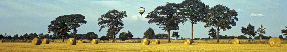 Kirschblüte am Niederrhein