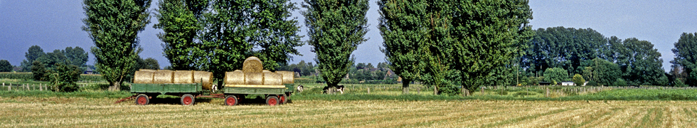 Sommer am Niederrhein