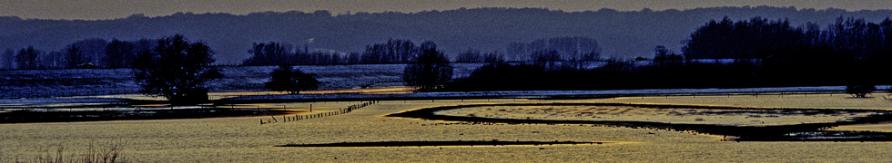 Kirschblüte am Niederrhein