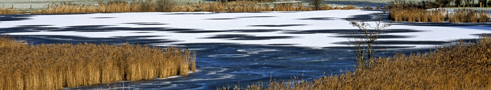 Kirschblüte am Niederrhein