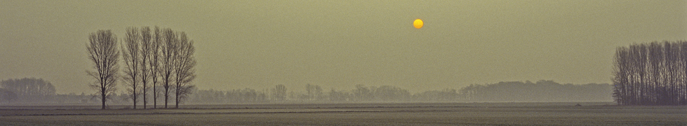 Kirschblüte am Niederrhein