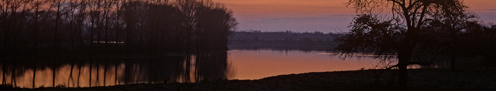 Kirschblüte am Niederrhein
