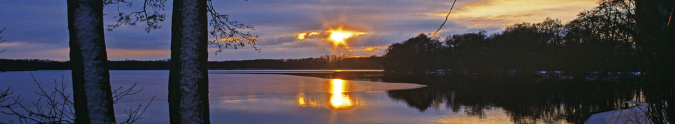 Kirschblüte am Niederrhein