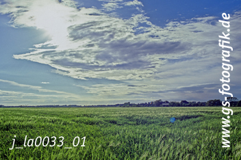 Bild in den Warenkorb legen