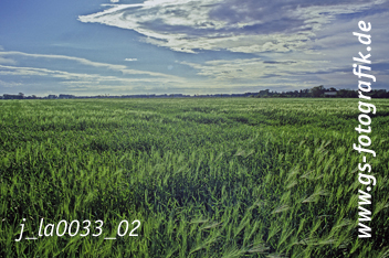 Bild in den Warenkorb legen