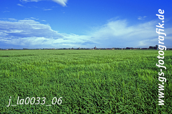 Bild in den Warenkorb legen