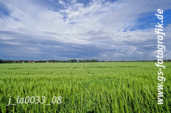 Bild in den Warenkorb legen