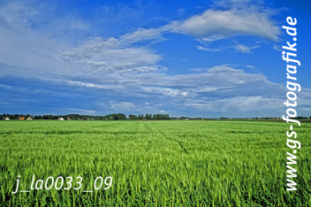 Bild in den Warenkorb legen