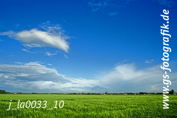 Bild in den Warenkorb legen