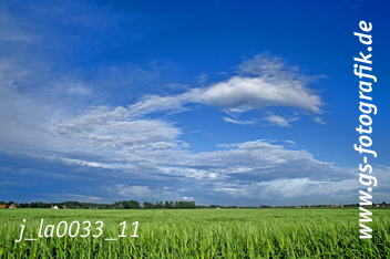 Bild in den Warenkorb legen