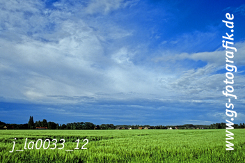 Bild in den Warenkorb legen