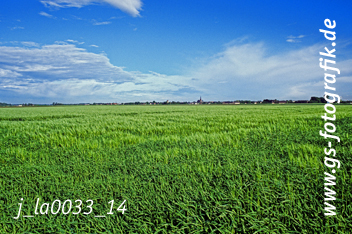 Bild in den Warenkorb legen