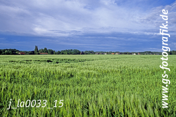 Bild in den Warenkorb legen