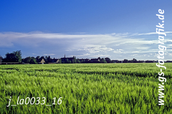 Bild in den Warenkorb legen