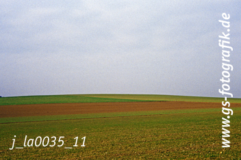 Bild in den Warenkorb legen