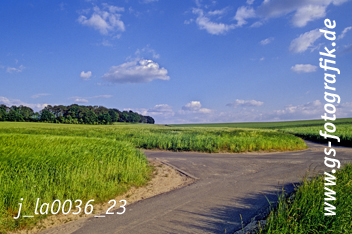 Bild in den Warenkorb legen