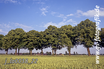 Bild in den Warenkorb legen