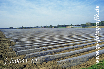 Bild in den Warenkorb legen