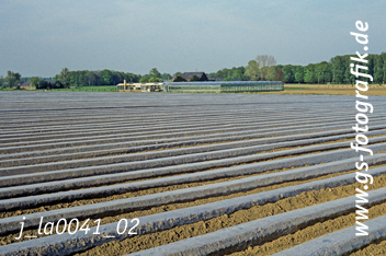 Bild in den Warenkorb legen